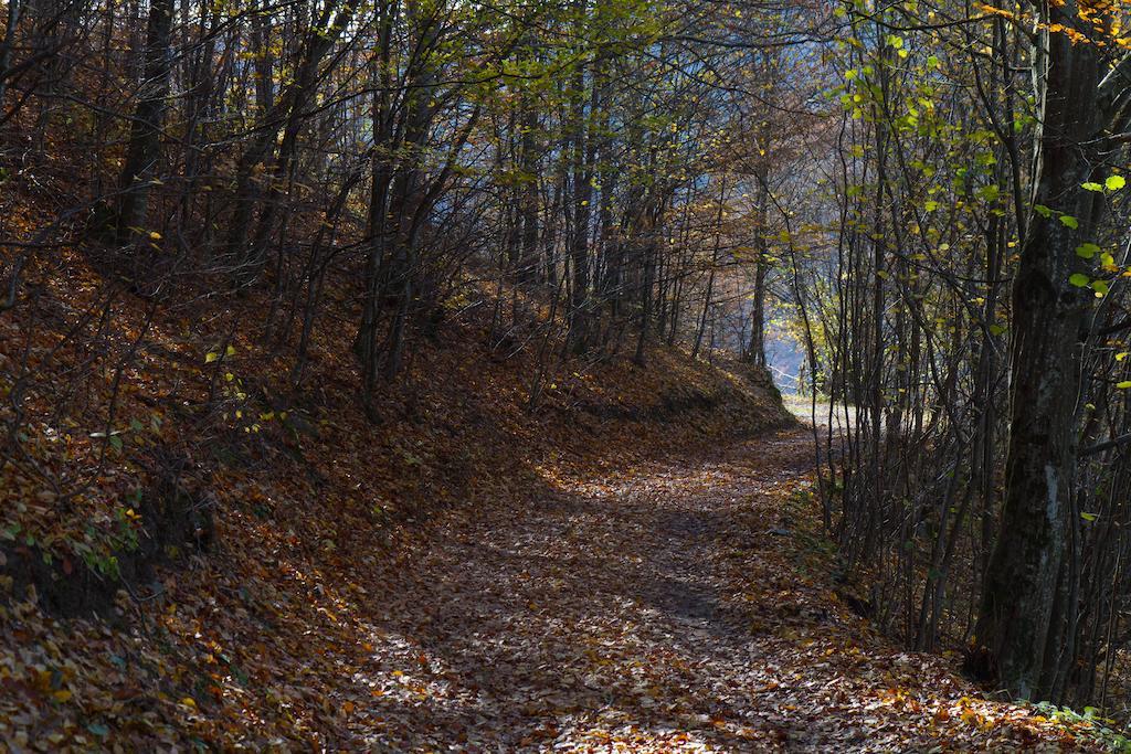 Kings Valley - Sunny Botesti Cimpeni Exterior photo