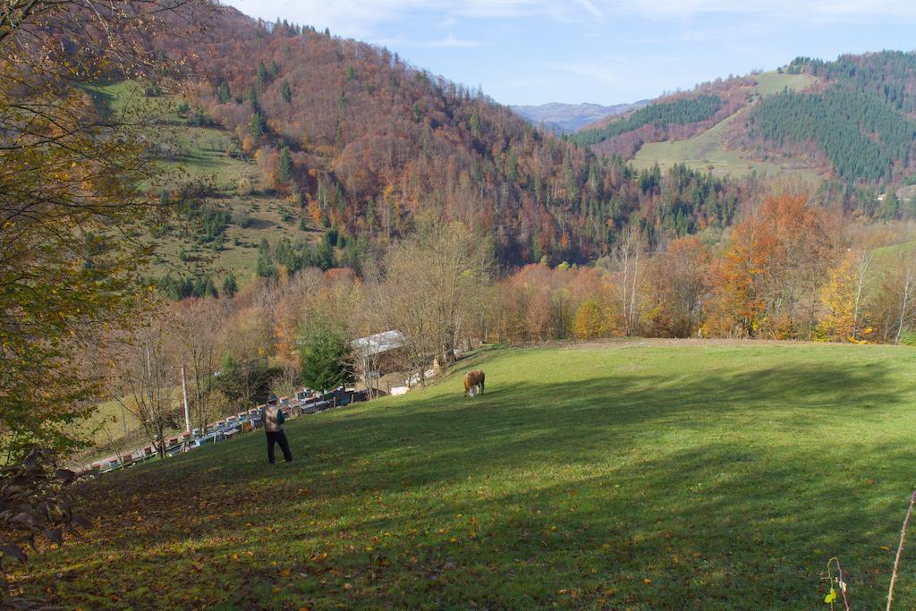 Kings Valley - Sunny Botesti Cimpeni Exterior photo