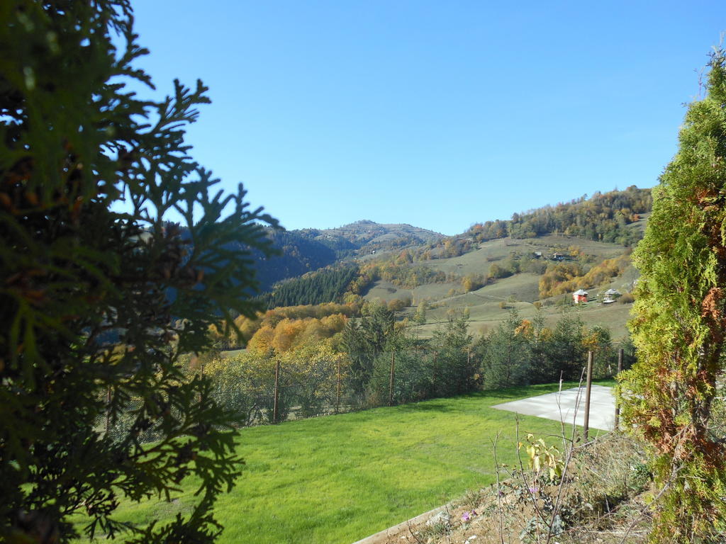 Kings Valley - Sunny Botesti Cimpeni Exterior photo