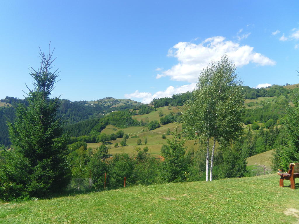Kings Valley - Sunny Botesti Cimpeni Exterior photo